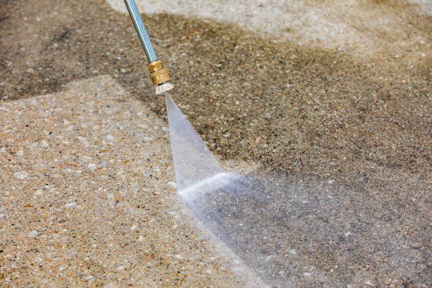 Best Driveway Pressure Washing  in Jensen Beach, FL