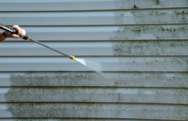 Best Sidewalk and Walkway Cleaning  in Jensen Beach, FL
